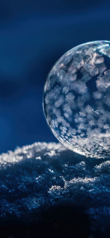 Frozen bubble, Winter snow, Soap Bubble, Macro