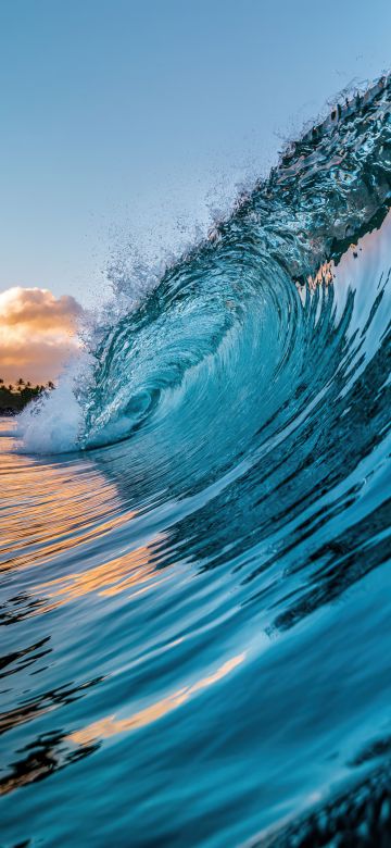 Ocean Waves, Palm trees, Tropical beach, Hawaii