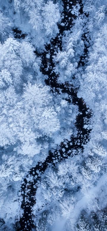 Winter forest, Aerial view, Snow covered, Water Stream, White aesthetic, Cold