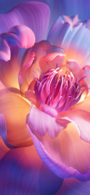 Peony flowers, Aesthetic, 8K, Xiaomi TV, Stock, Floral Background, Purple aesthetic, 5K, Bloom