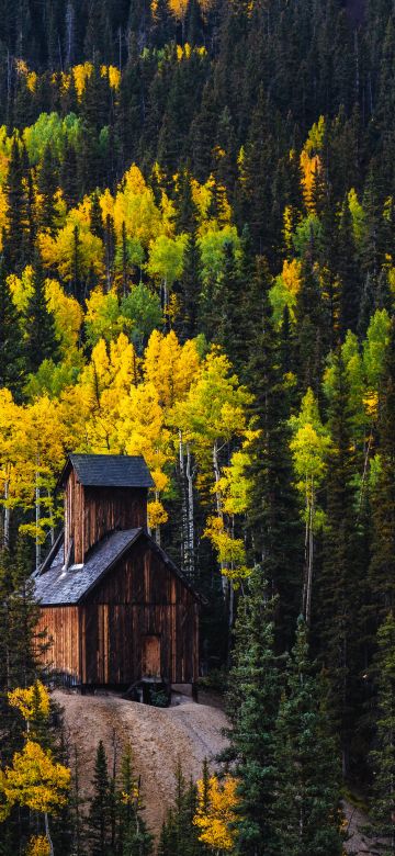 Colorado Boy Mine, Wooden cabin, Red Mountain Pass, 5K, Autumn, Pine trees