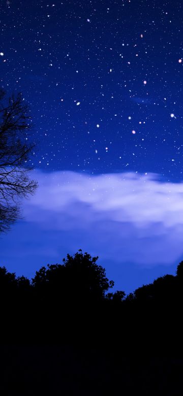 Stars in sky, Dark blue, Silhouette, Night sky, 5K, Winter sky