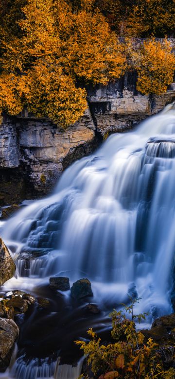 Inglis Falls, Waterfall, Ontario, Canada, Scenic, 5K, Autumn