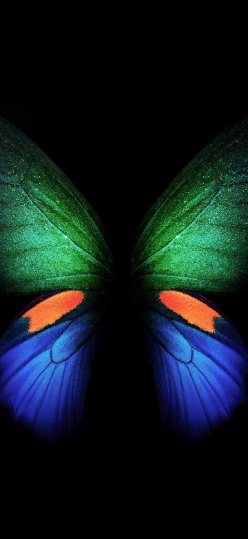 Butterfly, Samsung Galaxy Fold, Black background, Stock, Simple