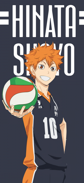 Shoyo Hinata, 8K, Minimalist, Haikyuu, Volleyball, Grey background, 5K