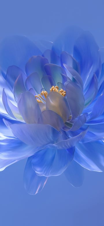 Abstract flower, Blue aesthetic, Blue background, 5K