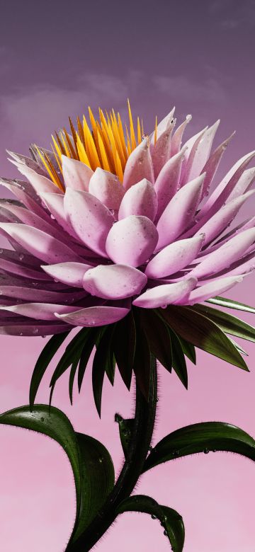 Purple Flower, Bloom, Digital flower, Purple aesthetic, Purple background, 5K