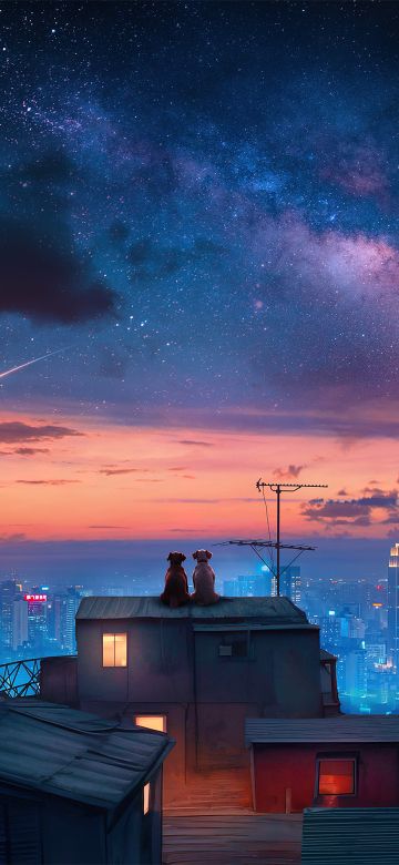 Dogs, Surrealism, Starry sky, Cityscape, Night City, Rooftop, Urban, Romantic, Dreamy, 5K