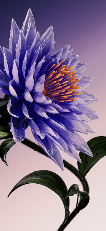 Purple Flower, Artistic, Digital Art, 5K, Dark blue