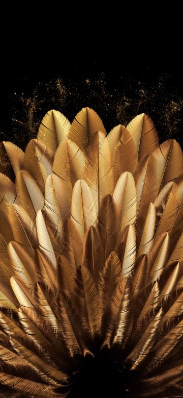 Golden, Peacock feathers, Vibrant, Golden yellow, Oppo Find N, Stock, Elegant, Pattern, Black background