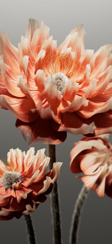 Peach, Digital flower, AI art, 8K, Grey background, 5K