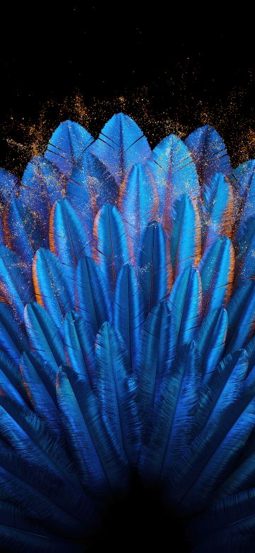 Peacock feathers, Blue aesthetic, Vibrant, Blue abstract, 5K, Oppo Find N, Stock, Elegant, Pattern