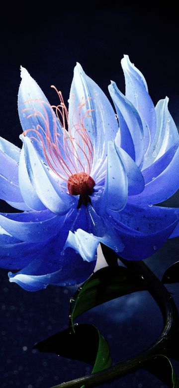 Lotus flower, Blue aesthetic, Dark aesthetic, 5K, 8K, Dark background