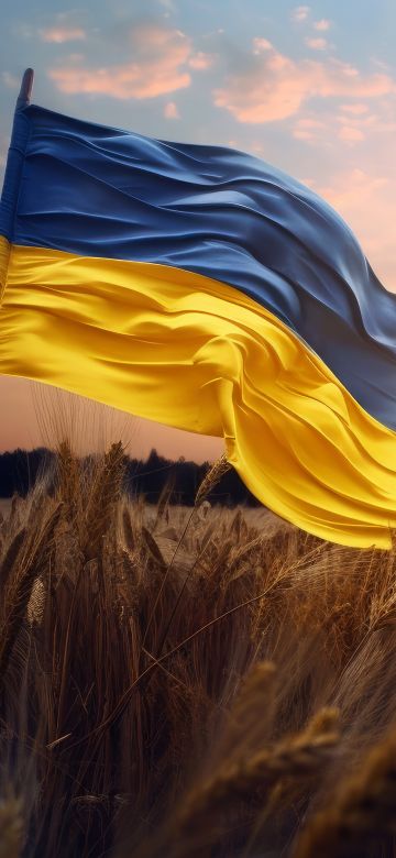 Flag of Ukraine, 5K, National flag, Landscape, Wheat field