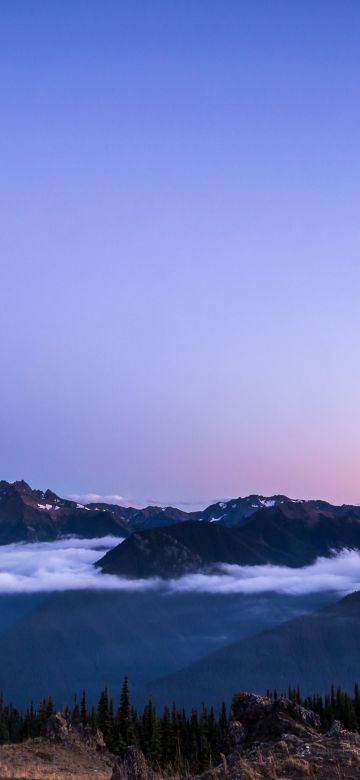 Olympic National Park, Sunset, Blue mountains, Washington, 5K