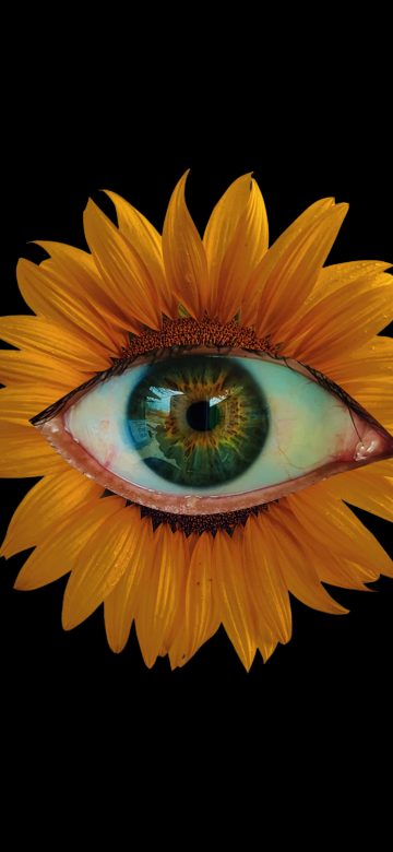 Sunflower, Weirdcore, Eye, Black background, 5K, AMOLED