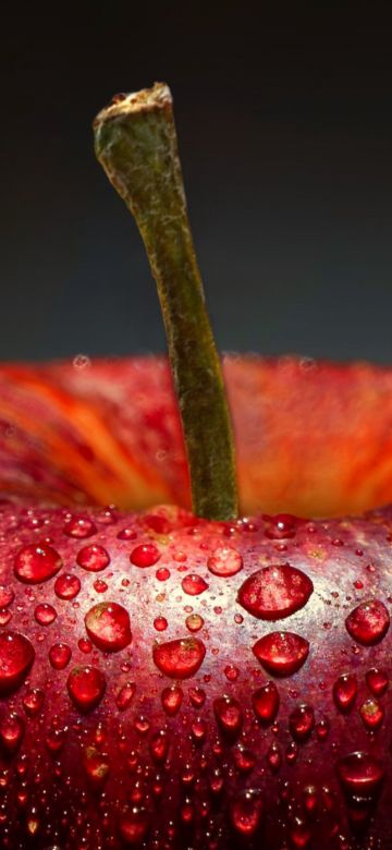 Apple, Macro, Water droplets, Closeup Photography, 5K