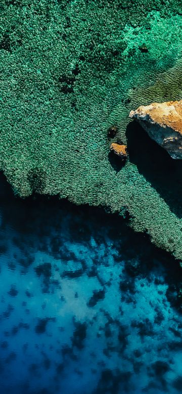 Coastline, Coral reef, Drone photo, Aerial view, NEOM, Outdoor, 5K, Blue Water