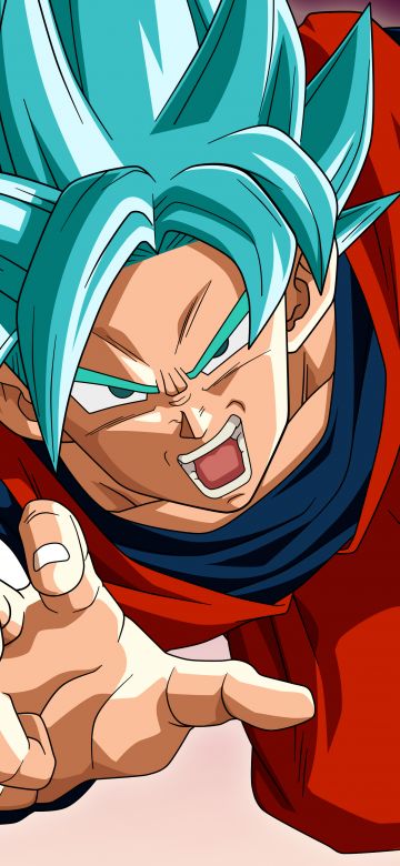 Super Saiyan Blue, Goku, Vegeta, Dragon Ball Super