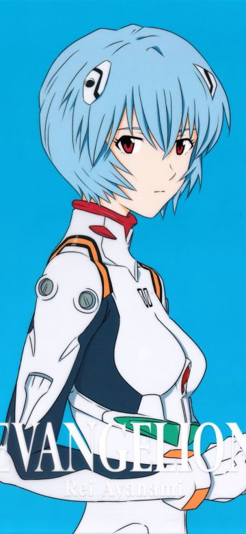 Rei Ayanami, 12K, Neon Genesis Evangelion, 5K, 8K, Blue background