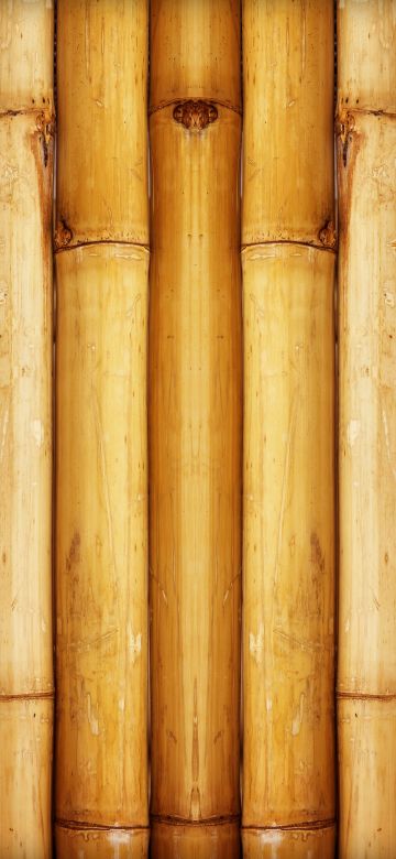 Bamboo, Wall, Pattern, 5K