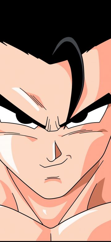 Dragon Ball Z, Gohan, 5K