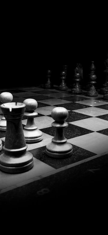 Chessboard, Black and White, Chess pieces, Monochrome, King (Chess), Knight (Chess), Pawn (Chess), Rook (Chess), Bishop (Chess), 5K