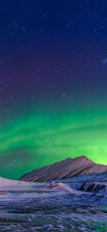 Northern Lights, Norway, Aurora Borealis, Winter, 5K