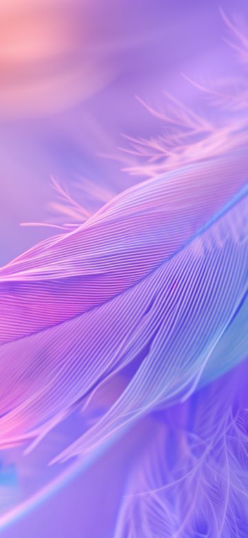 Aesthetic, Feathers, Colorful background, 5K