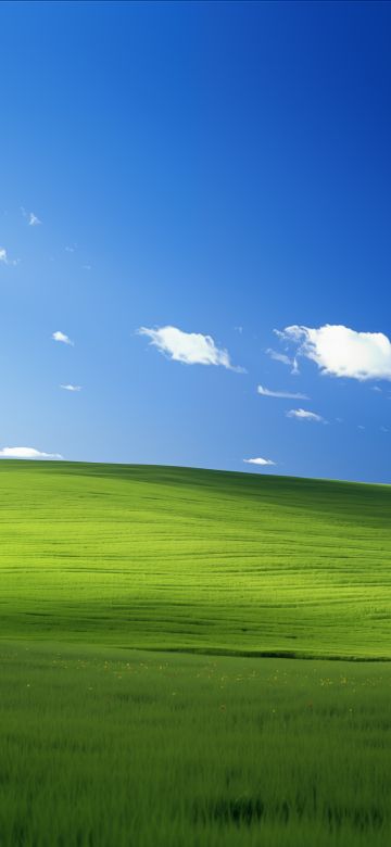 Windows XP, Landscape, Bliss, Blue Sky, Green landscape