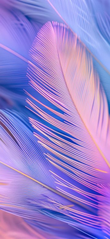 Feathers, Aesthetic, 5K, Colorful background