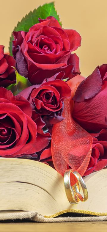 Red Roses, Wedding rings, Book, Valentine's Day, 5K