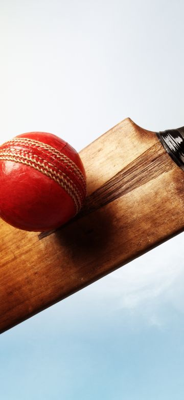 Cricket bat, Playing, 5K