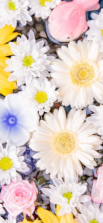 Colorful, Flower bouquet, Sunflower, Daisy flowers