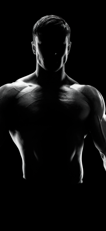 Bodybuilder, AMOLED, Black background, Silhouette, 5K