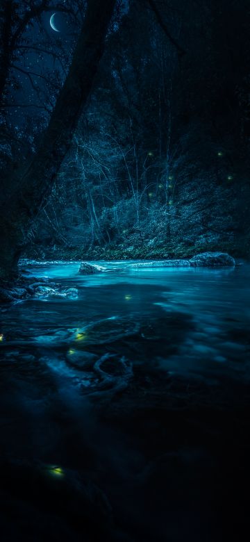 Forest, River, Night, Dark, Magical, Crescent Moon, Blue, Fairies