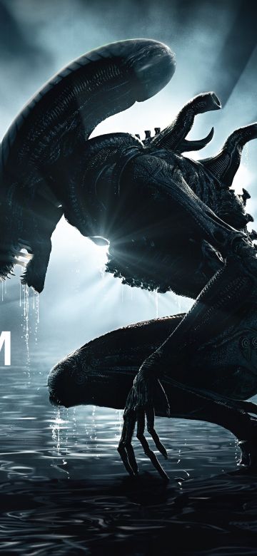 Alien: Romulus, Xenomorph, 2024 Movies, 5K