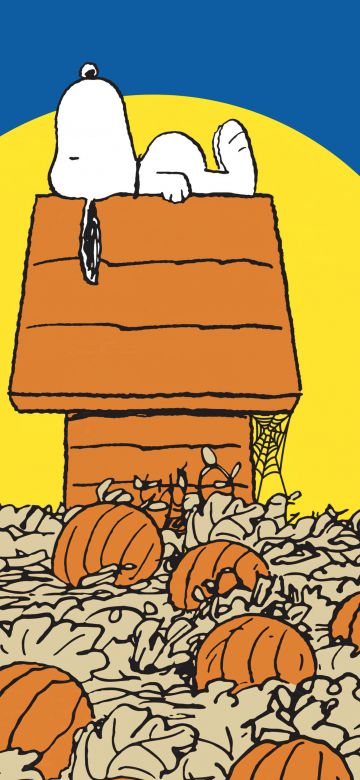 Snoopy, Halloween, Halloween pumpkins, Halloween background, 5K