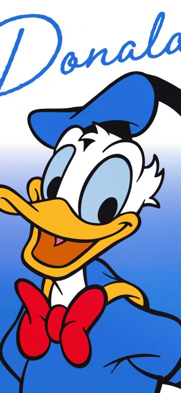 Donald Duck, Cartoon, Blue background, 5K