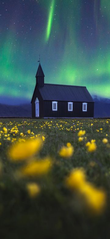 Aurora Borealis, Church, Northern Lights, Iceland, Yellow flowers, Scenic, Landscape, Evening sky, 5K, 8K