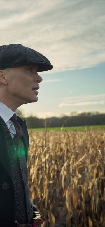 Cillian Murphy, Peaky Blinders, 5K, TV series