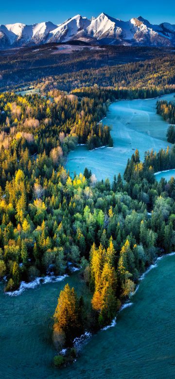 Poland, Landscape, Tatra Mountains, Mountain range, Green Forest, Pine trees, Morning light, Scenic, 5K