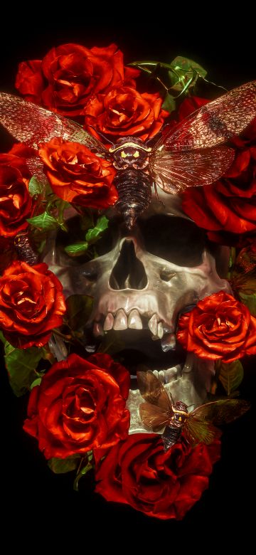 Skull, Roses, AMOLED, 5K, Black background, Darkness