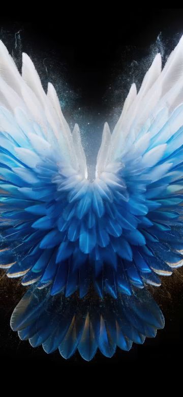 Angel wings, AMOLED, Blue aesthetic, Tecno Phantom V Fold 2 Stock, Black background