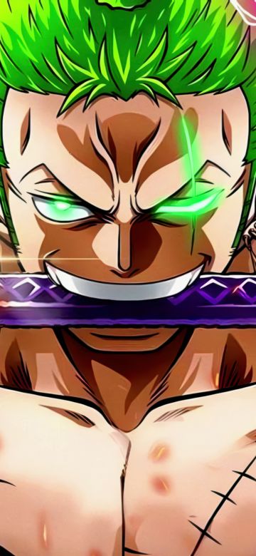 Roronoa Zoro, Fearless, One Piece, 5K