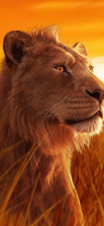 Mufasa, 5K, Mufasa: The Lion King, 2024 Movies