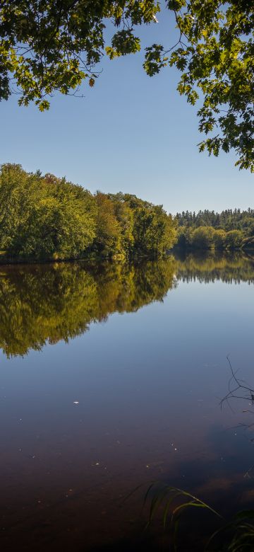 Androscoggin River, Trees, Reflection, Pleasant, Sunny day, 5K