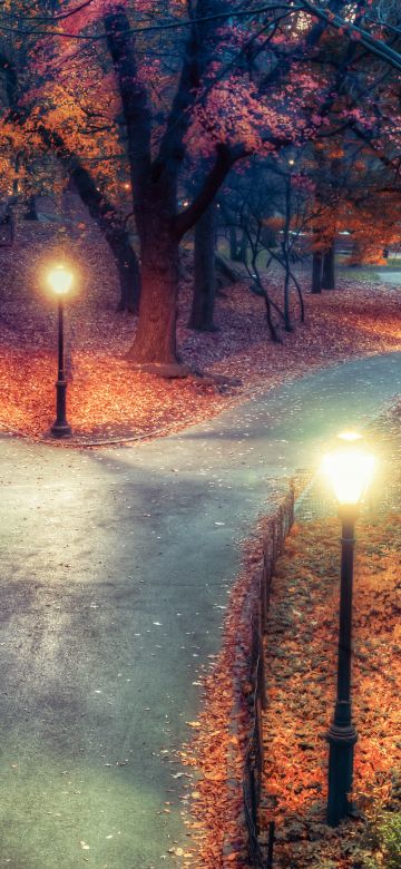 Central Park, New York City, Autumn leaves, Path, Night, Lights, Beautiful, 5K