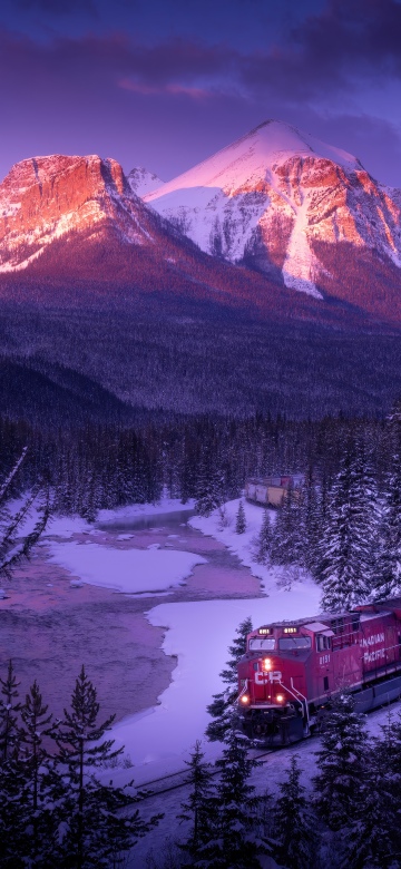 Morant's Curve, Alpenglow, Canadian Rockies, Winter Mountains, Winterscape, Winter forest, Snowy Mountains, Train, Sunset, 5K, Frozen, Pine trees, Scenic, Banff National Park, Majestic