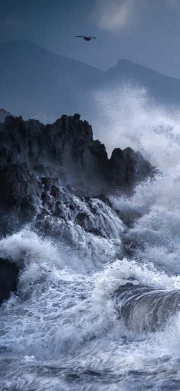 Stormy, Waves, Rocky coast, Dramatic, Seascape, Seabirds, Coastal, 5K, Dark